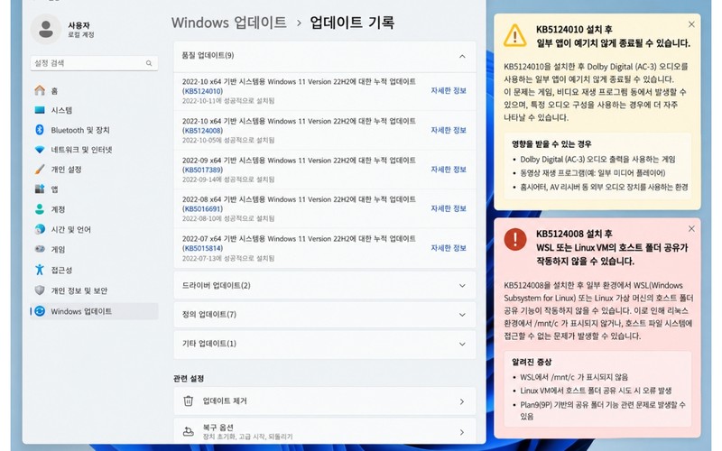 윈도우11 KB5124010&middot;KB5124008 오류｜게임 강제종료&middot;WSL