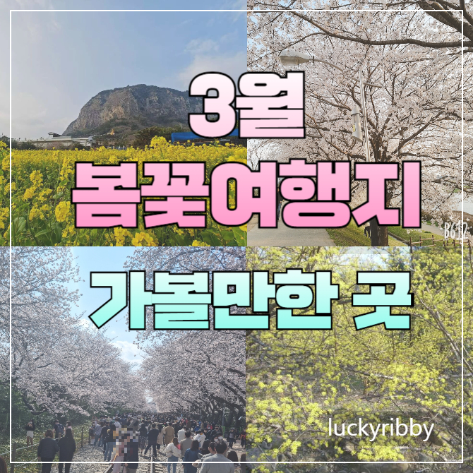 봄꽃여행지-썸네일