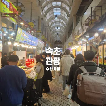 속초 가볼만한곳 베스트10 정리_12