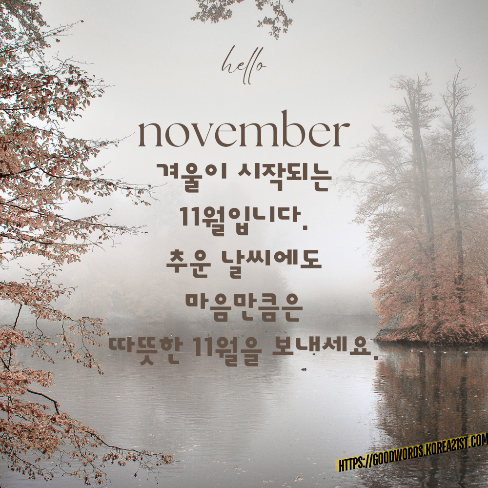 11월 인사말 문구 이미지 모음 안부 메세지
