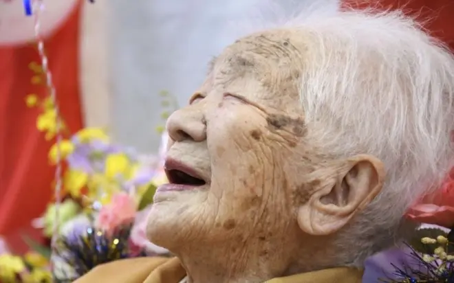 할머니 꿈 3