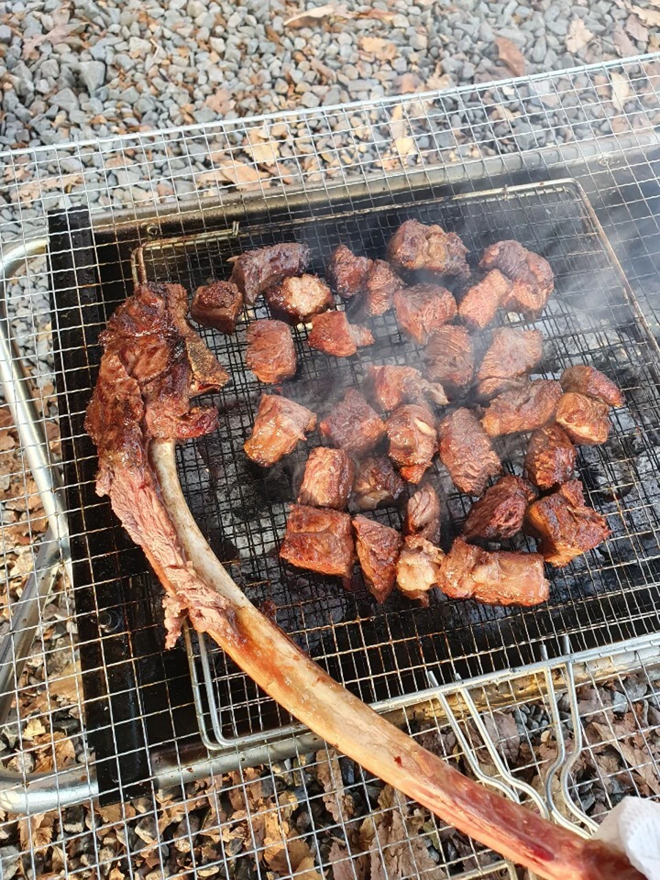 갈비