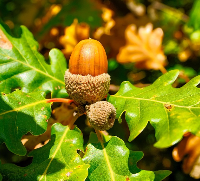 가리산의 자연경관 사진