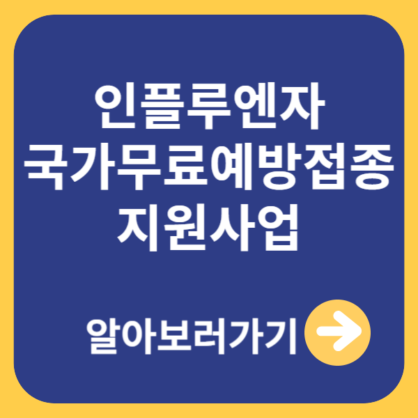 인플루엔자 국가 예방 접종 지원사업