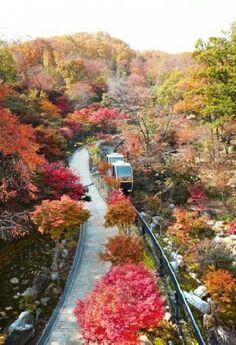 화담숲 가을 단풍 축제
