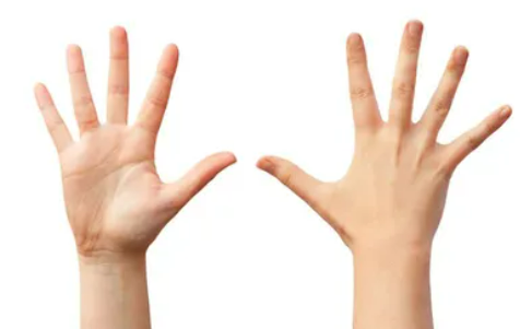 손을 많이 쓰는 직업인