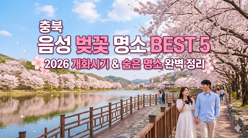 음성 벚꽃 명소