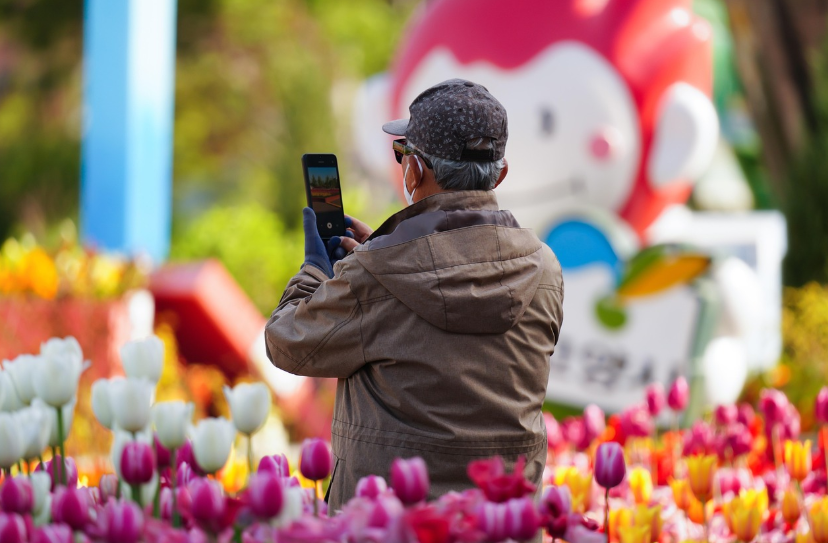 2026년 기초연금 인상, 단독 월247만원 수령가능