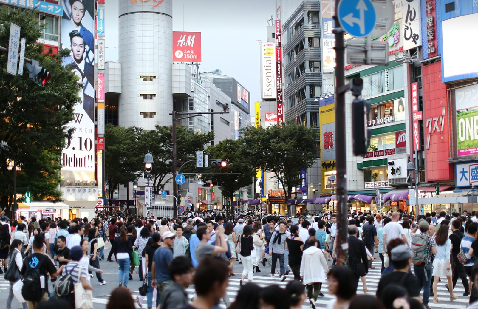 도쿄 여행 '너의 이름은' 성지순례