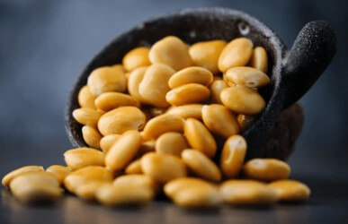 루피니빈(Lupini bean) 콩 효능 부작용 및 활용법 