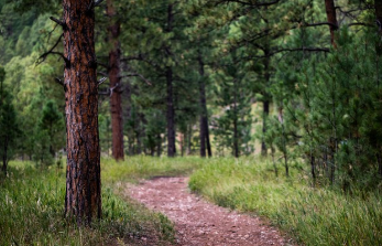 공무원 정년연장 65세 시행 시기 바로 보기 21