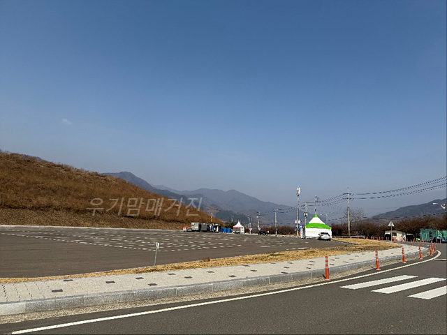 광양매화축제 기간 입장료 개화상황 프로그램 주차장 셔틀버스 25년3월8일실시간사진