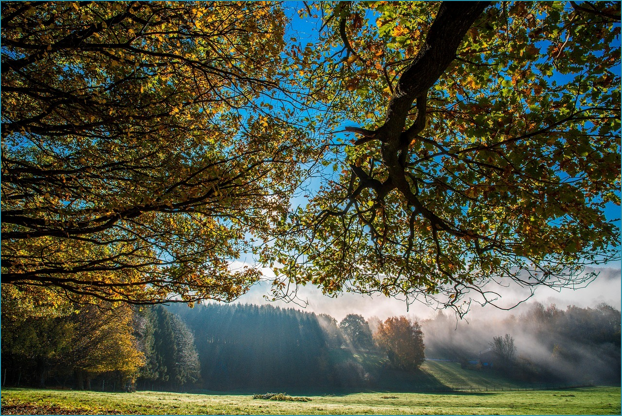 생방송 투데이 빵