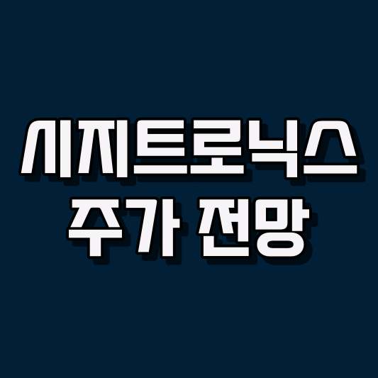 시지트로닉스 주가 전망