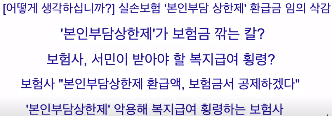 본인부담 상한제