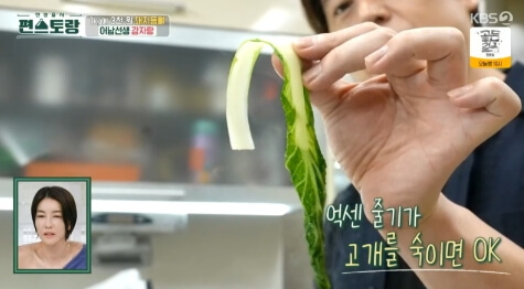 얼갈이 우거지