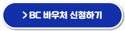 생리대 바우처