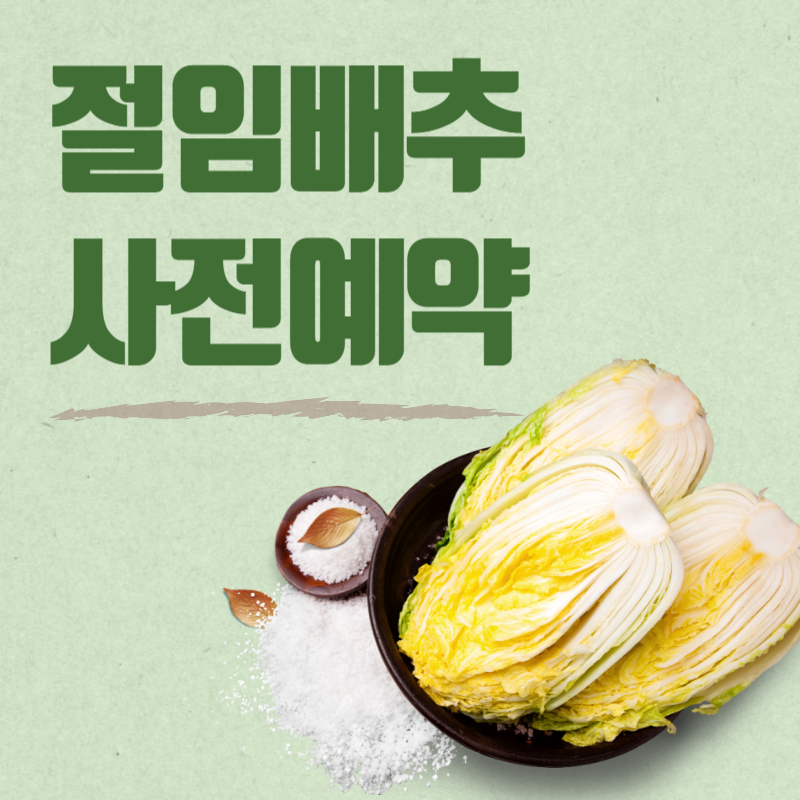 롯데마트 절임배추 예약