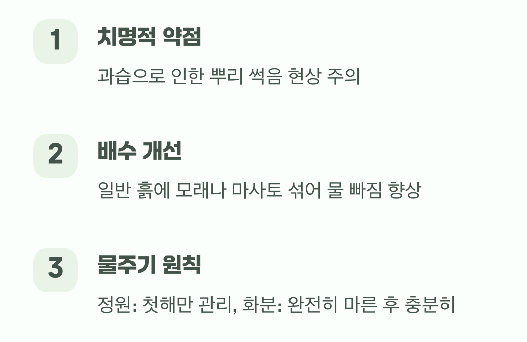3. 과습은 금물, 흙과 물주기의 비밀