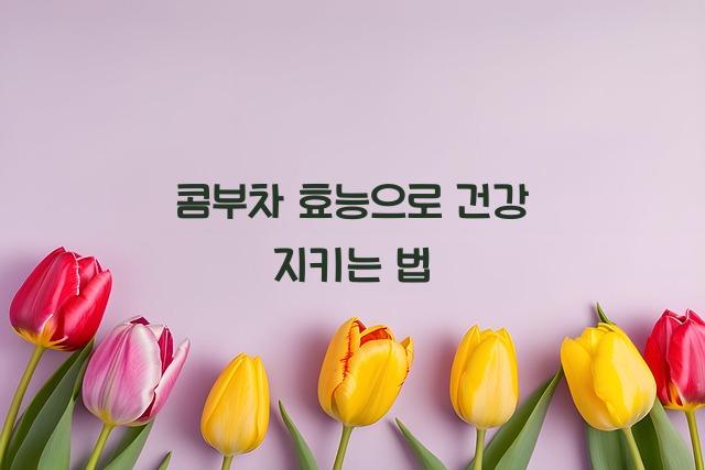 콤부차 효능