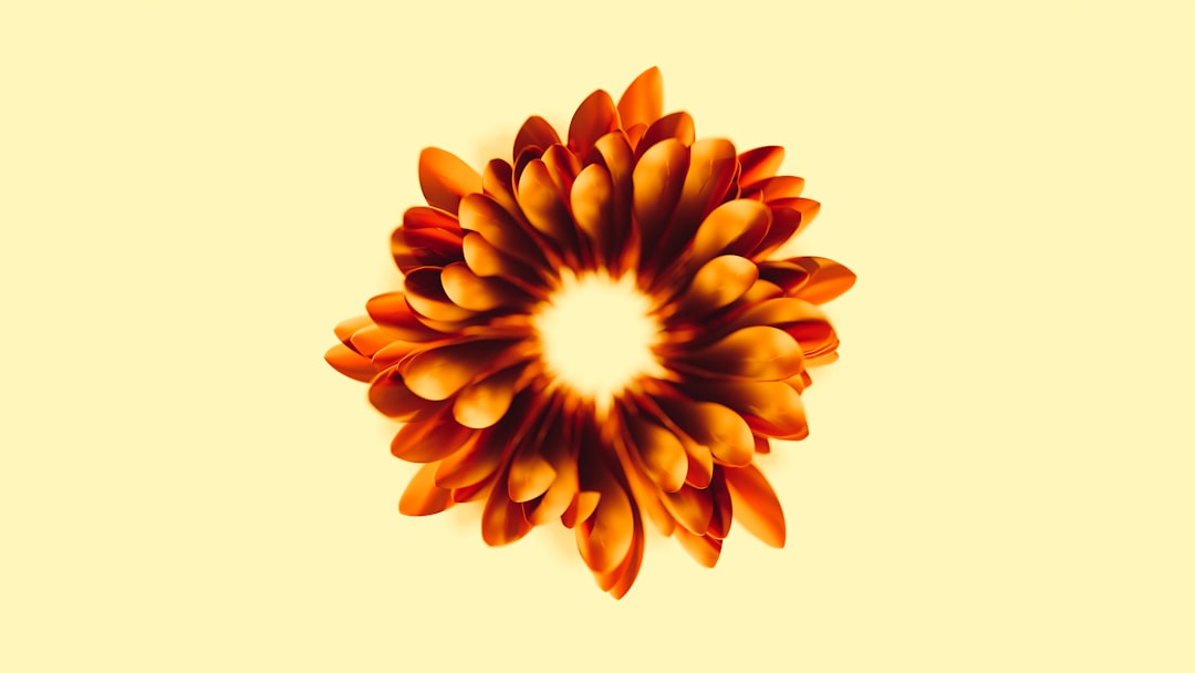 Curcumin