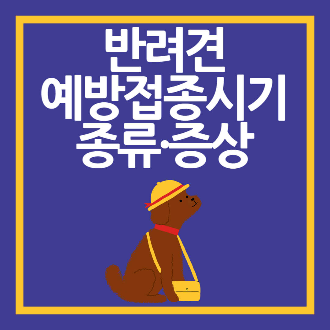 반려견예방접종