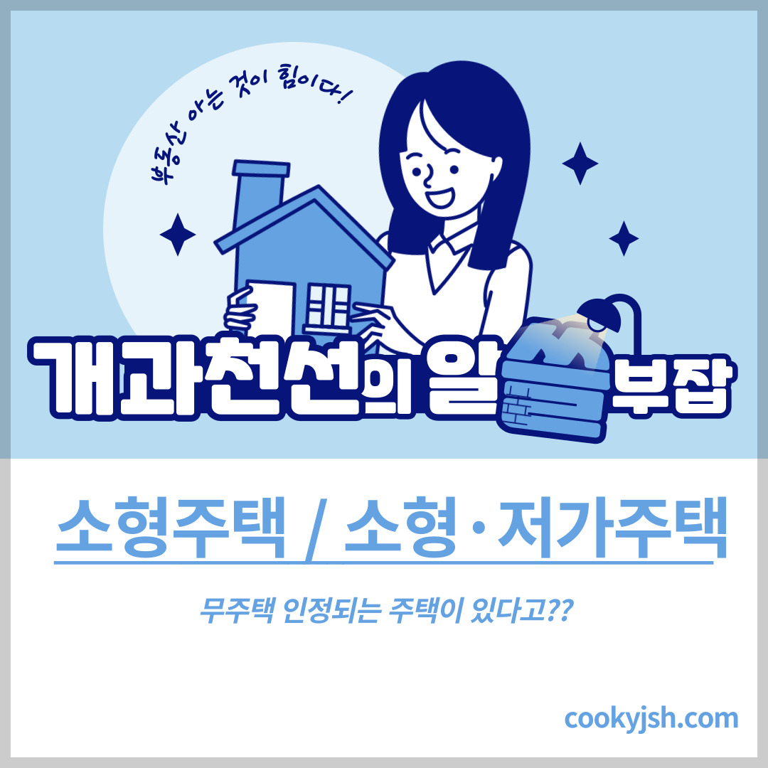 개과천선의 알쓸부잡-소형주택 & 소형·저가주택의 정의 (무주택으로 인정받는 주택).