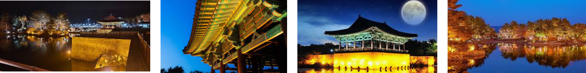 포토존으로 유명한 경주 핫플레이스 – 감성충만 인스타 명소 총정리 (2025 최신)