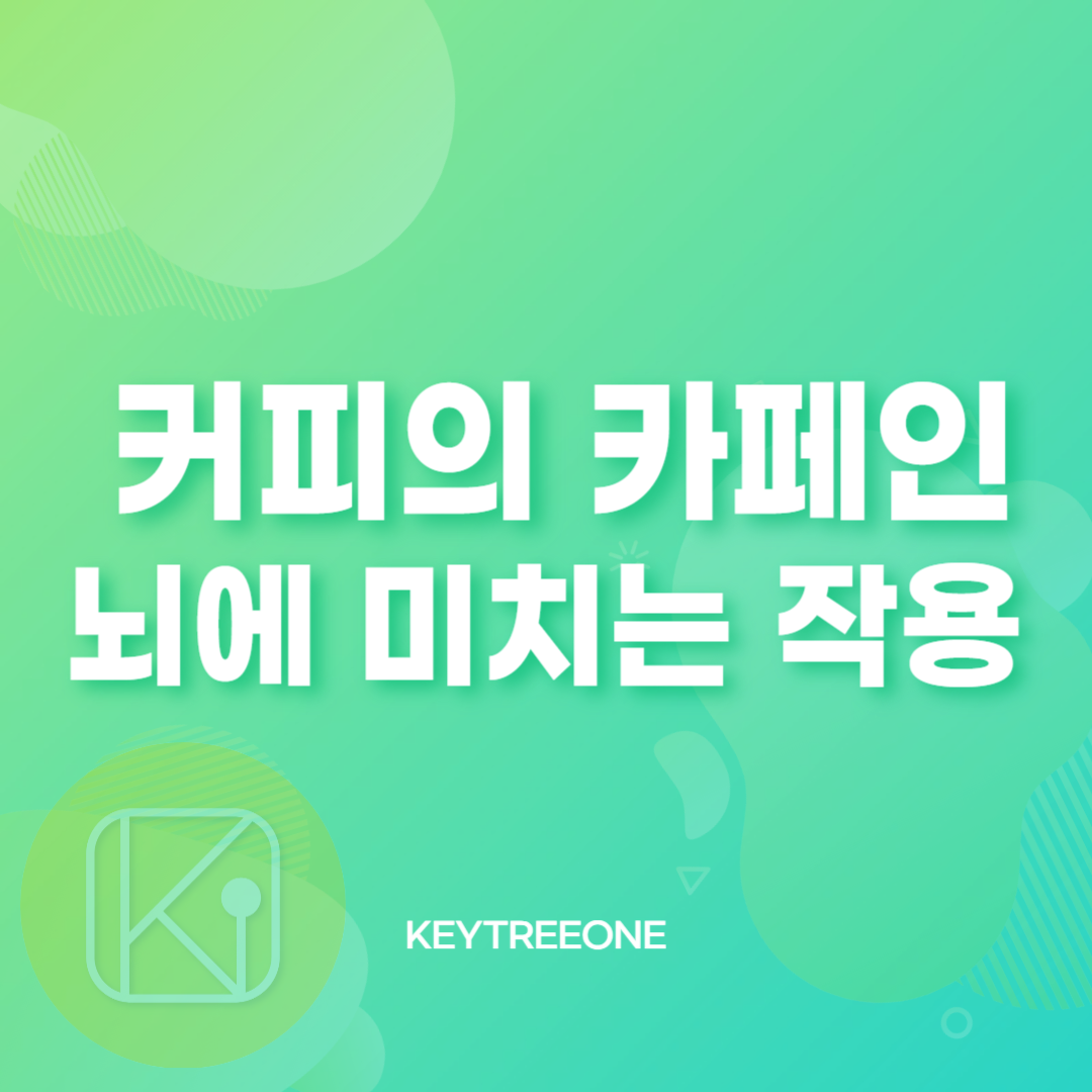 커피의 카페인이 뇌에 미치는 작용