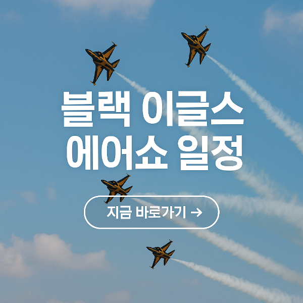 2025 블랙 이글스 에어쇼 일정 기종 대령 전대장 대전 부산 세종 김해