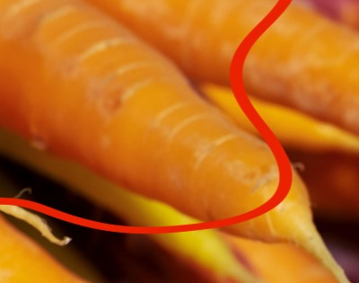 당근 효능 부작용