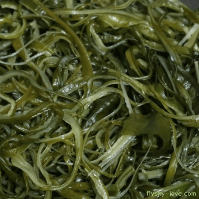 오독오독 씹히는 맛이 별미인 미역 줄기