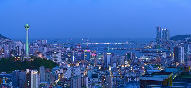부산 타워 대교 야경
