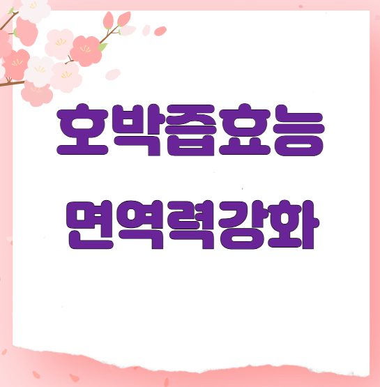 호박즙효능 면역력강화