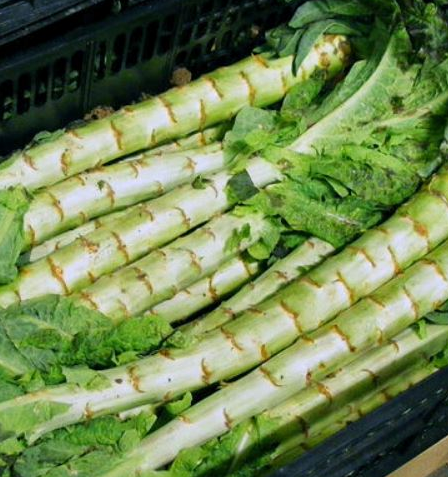 궁채 효능 부작용 나물 고르는법 칼로리