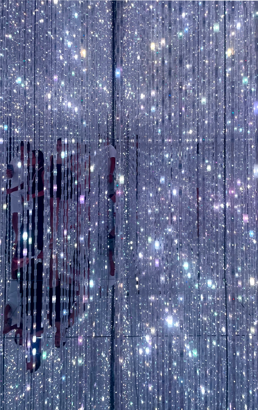 일본 도쿄 팀랩 플래닛 여행-생명은 결정화된 덧없는 빛