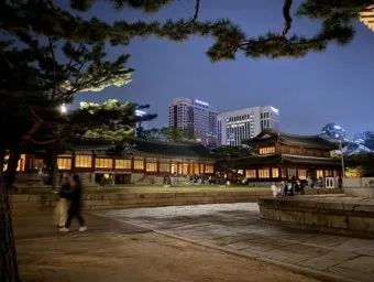 덕수궁 야간개장 예약 꿀팁 정리_21