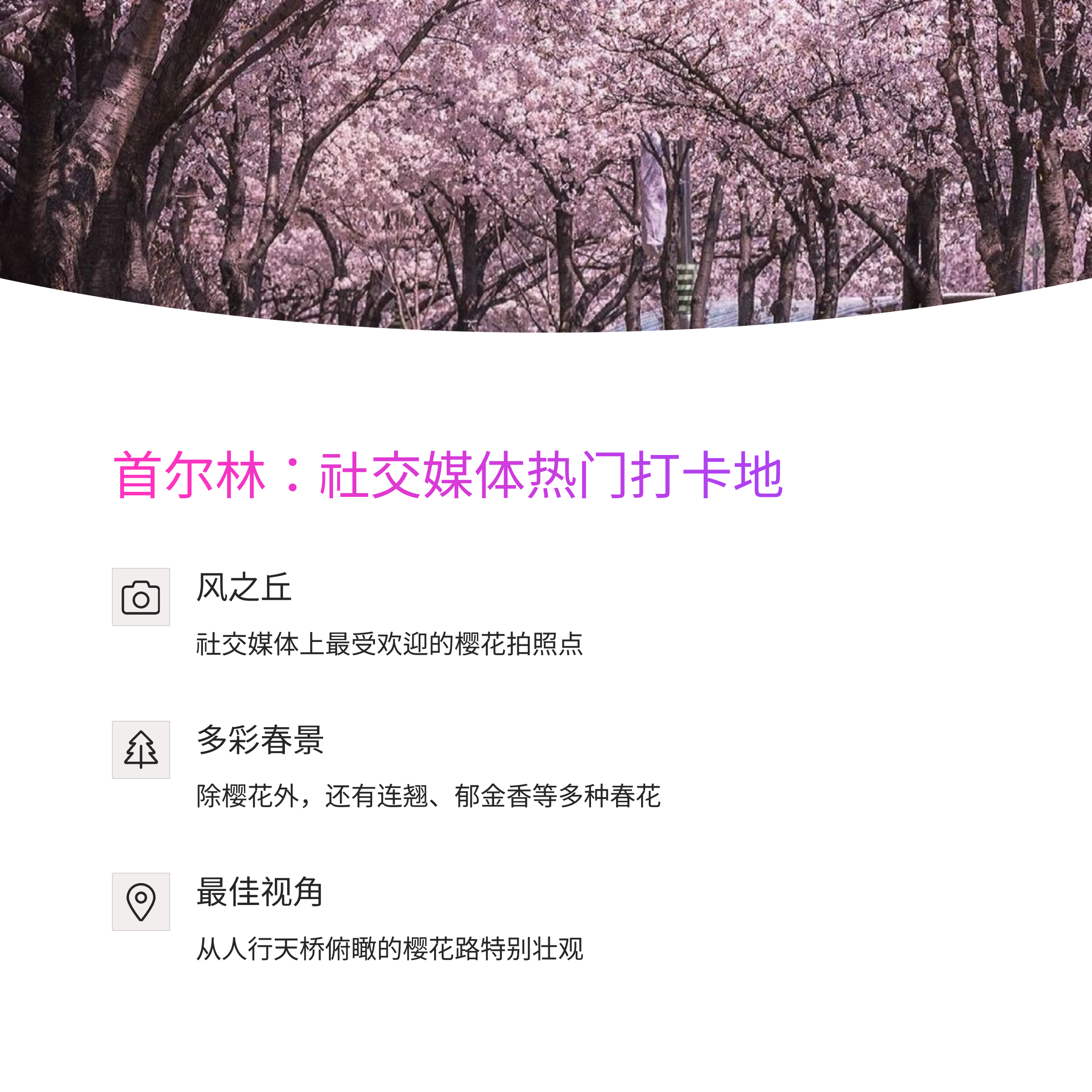 2025年首尔赏樱花胜地TOP 10完全指南 - 从网红打卡地到隐秘景点