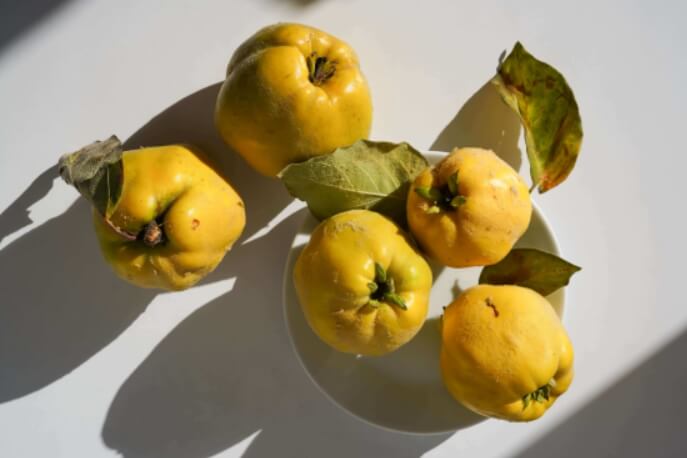 감기에 좋은 음식 BEST 10 모과차