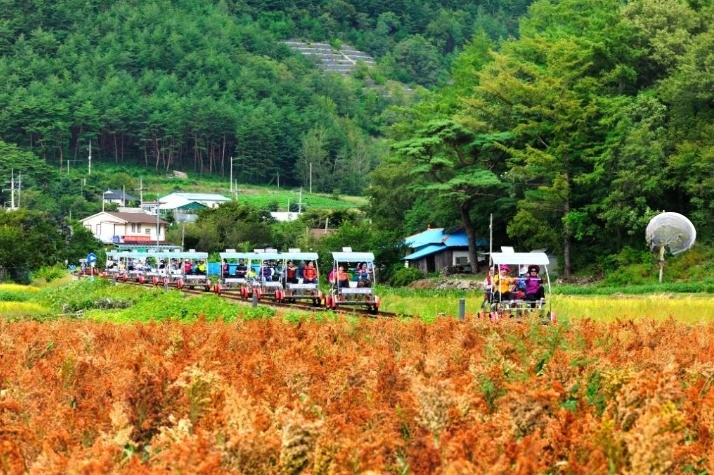 정선-레일바이크