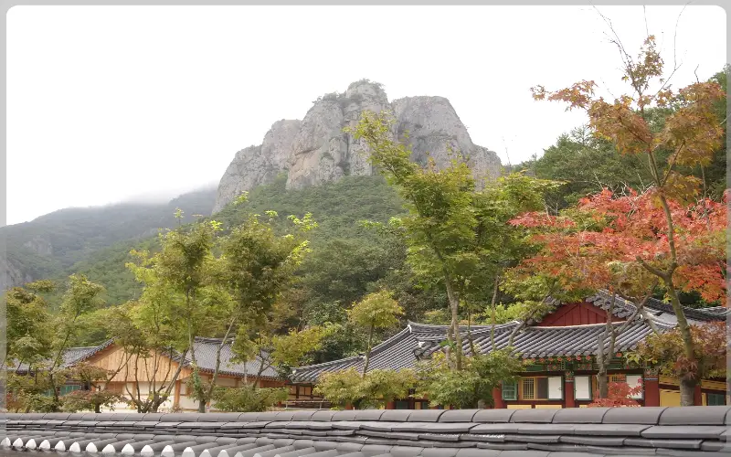 주왕산 국립공원 단풍_8