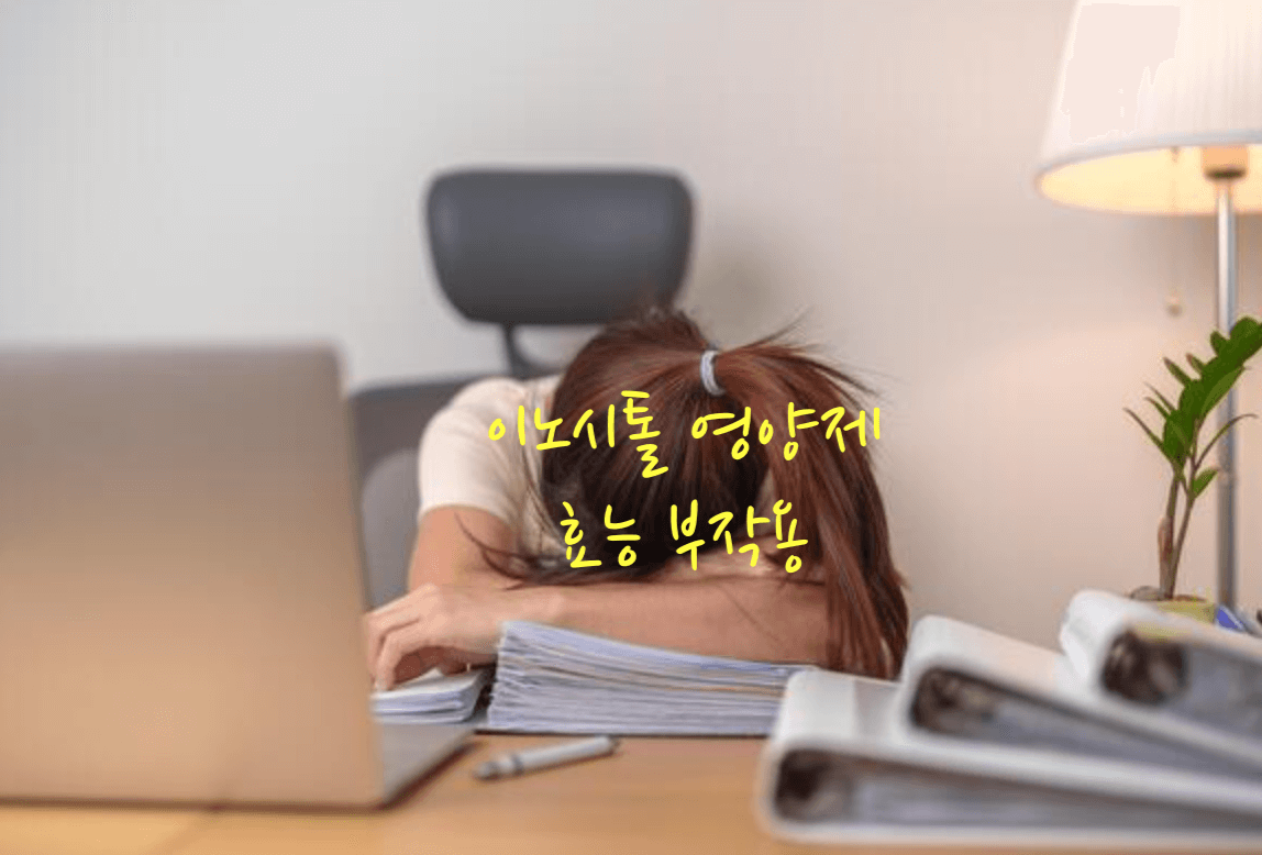 이노시톨 효능