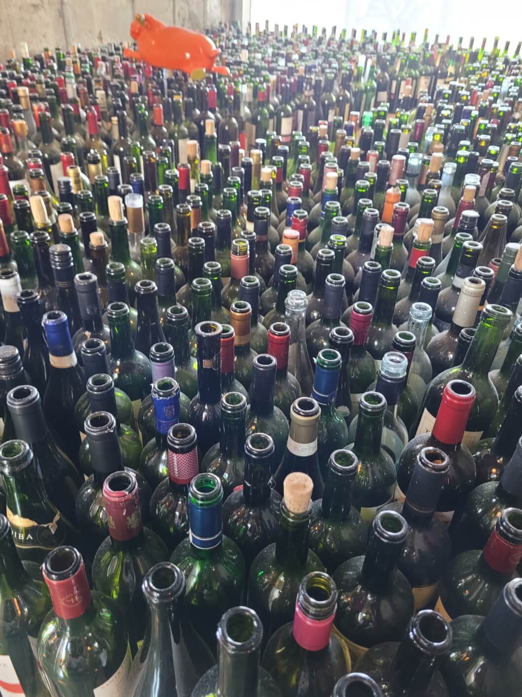 강원도 강릉 가볼만한 곳 하슬라아트월드 할인 예약 방법