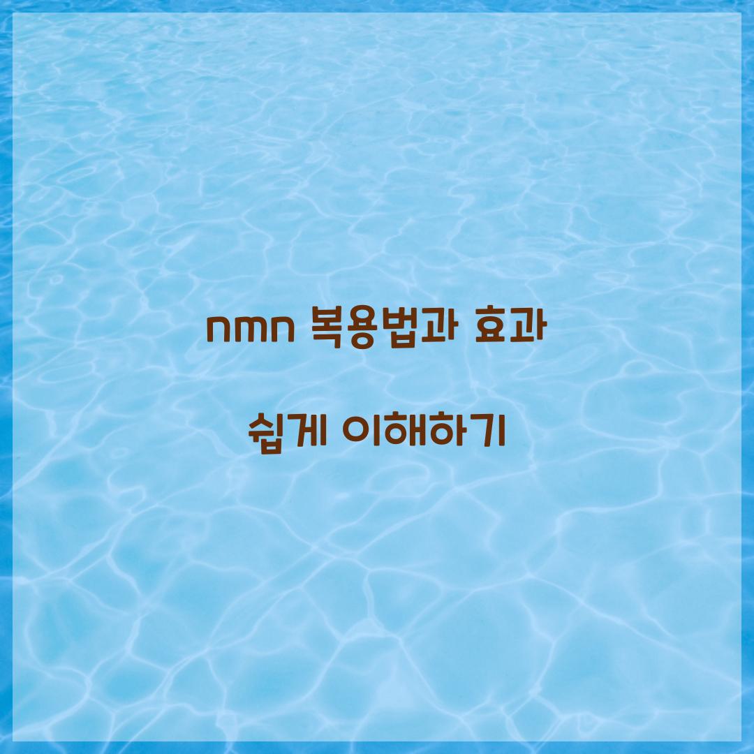 nmn 복용법