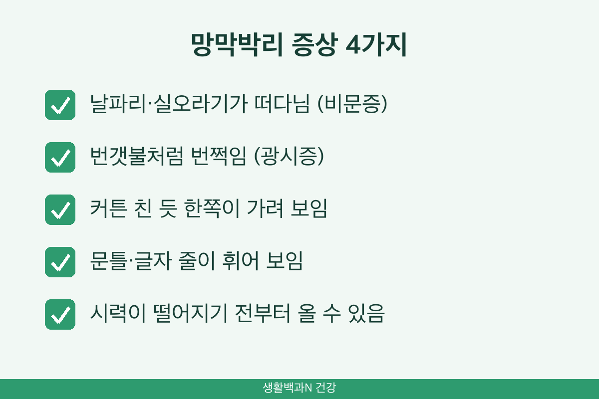 망막박리 증상 체크 비문증 광시증 시야 장애 사물 찌그러짐