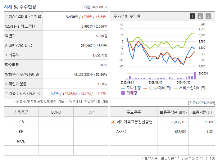 모나용평_기업개요