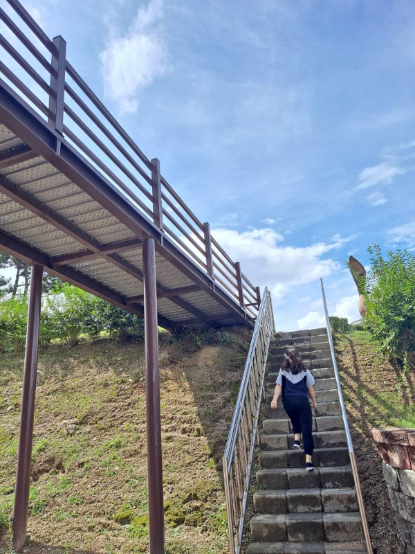 평화전망대 계단 오르다