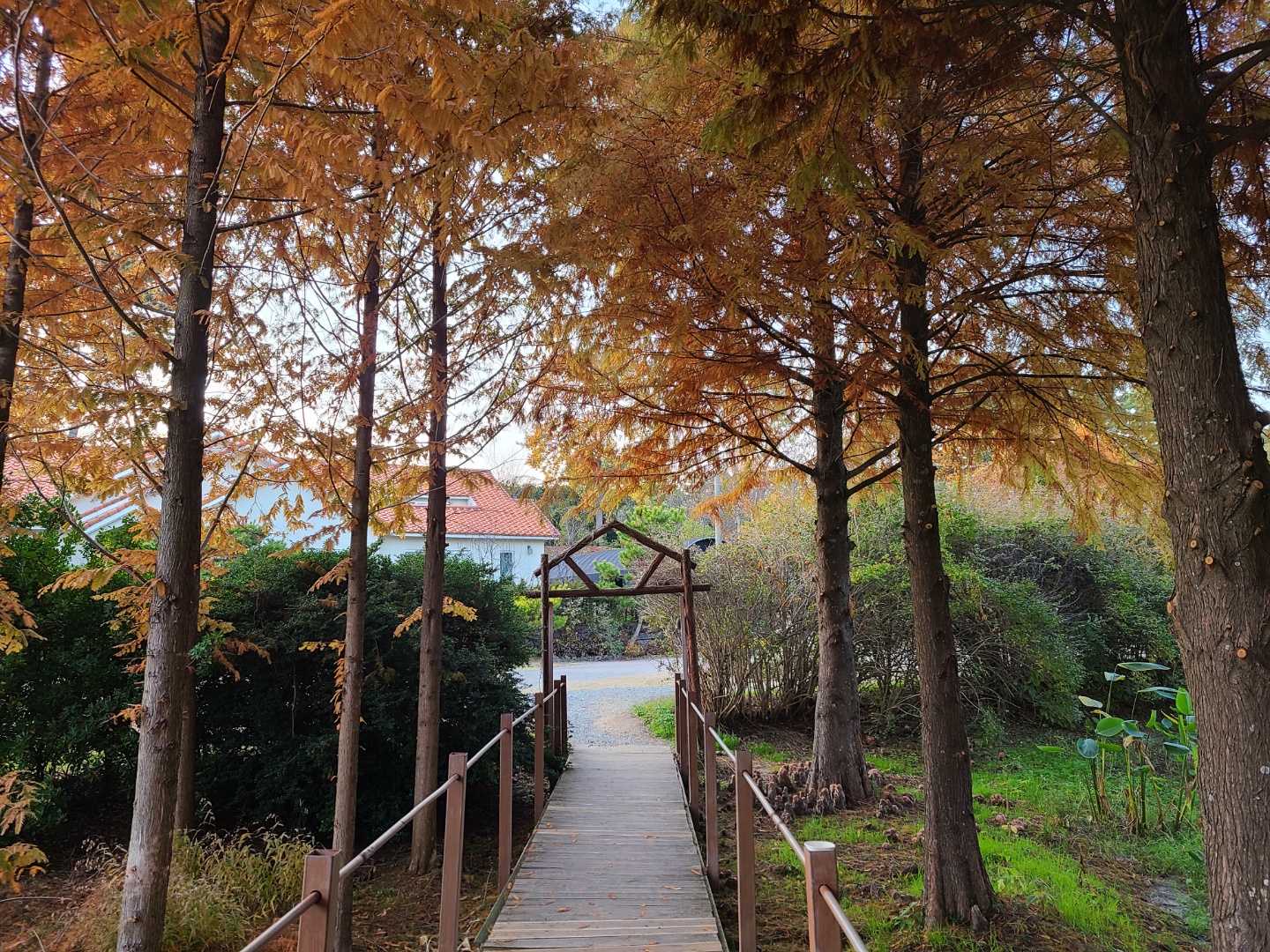 태안가볼만한곳-태안데이트-청산수목원-밀레정원