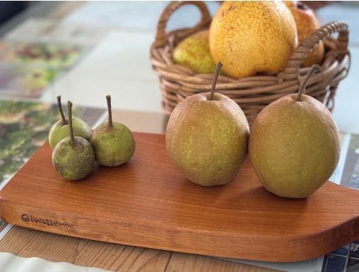 6시내고향 거창 문수돌배