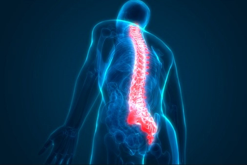 전체 등 통증 원인